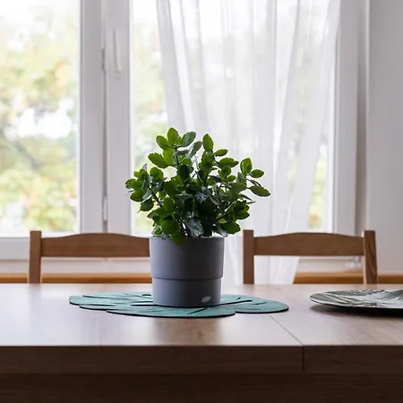 Spacious Family & Friends Victus In By Renters * Sopot