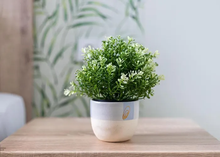 Victus Apartamenty, Monte Mon Apartamento *